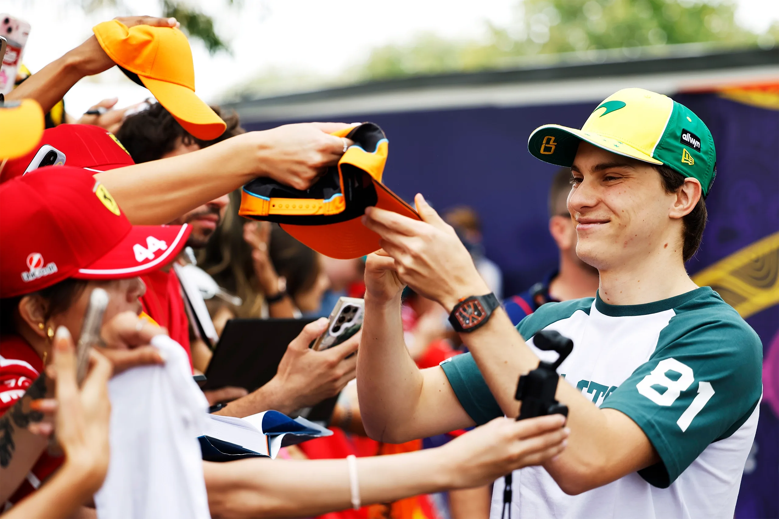 Description of Large Image 4